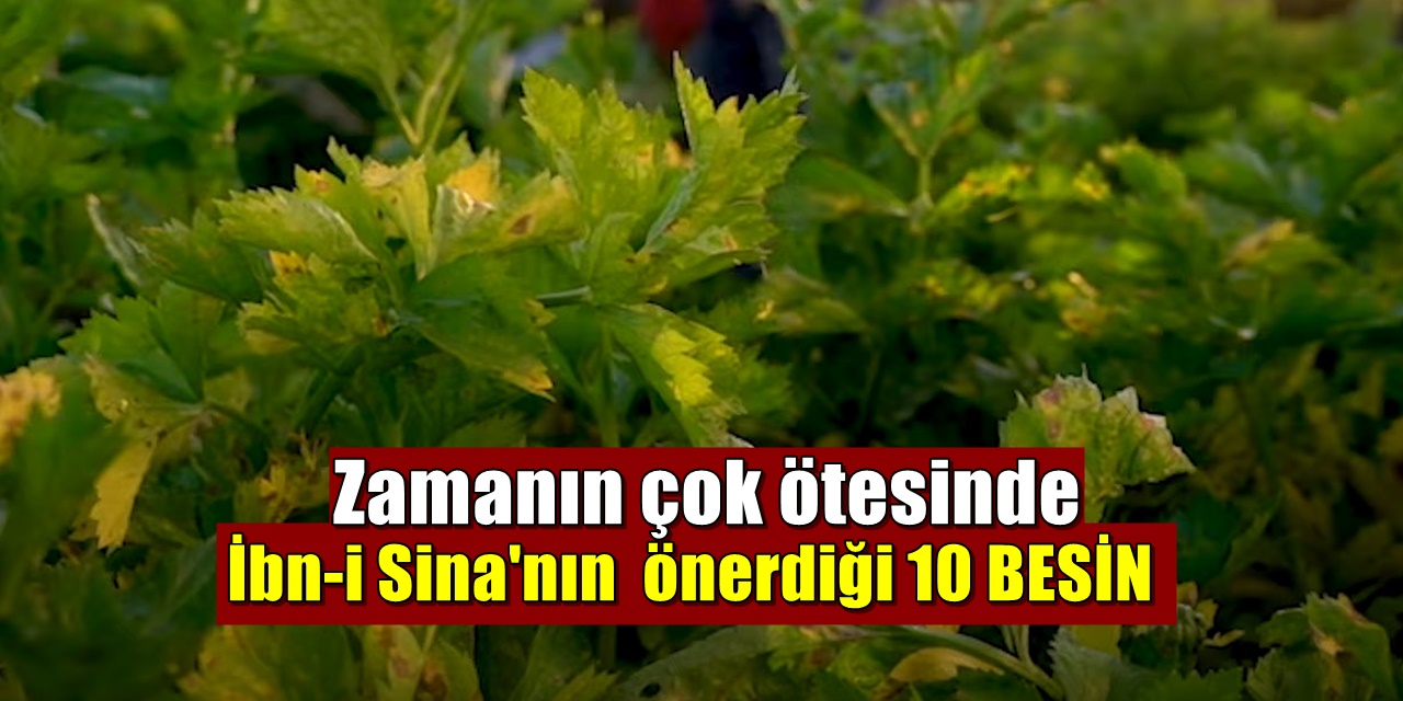 İbn-i Sina'nın yıllar önce önerdiği besinler! Şimdilerde kimse bilmiyor