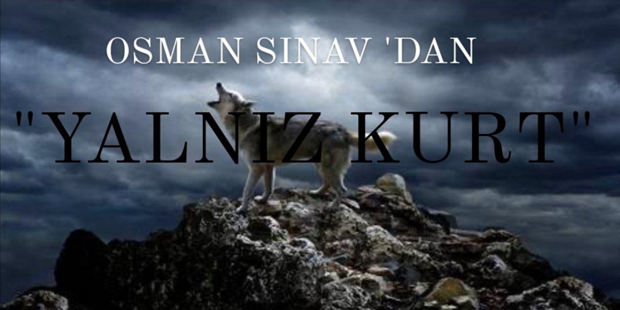 Kurtlar Vadisinin Yerine Gelen Yalnız Kurt Dizisinin Göz Kamaştıran Kadrosu