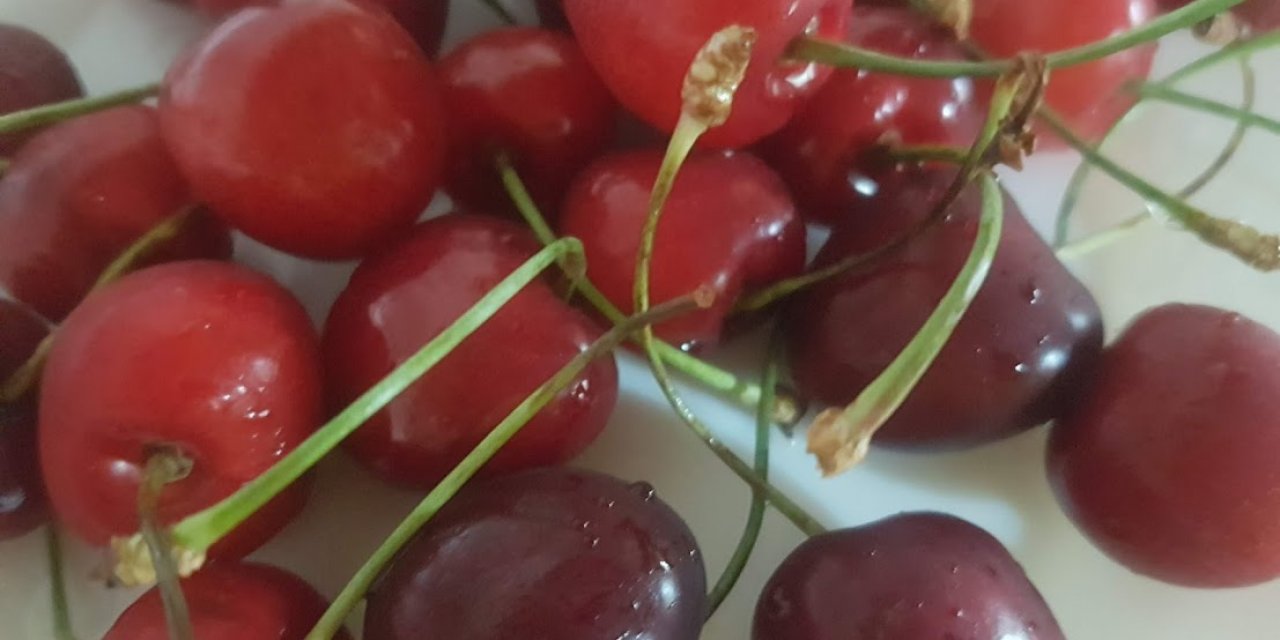 Yaz mevsiminin en sevilen meyvesi Kiraz Hiç Masum Çıkmadı Öğrenince Yerken 2 Kez Düşüneceksiniz