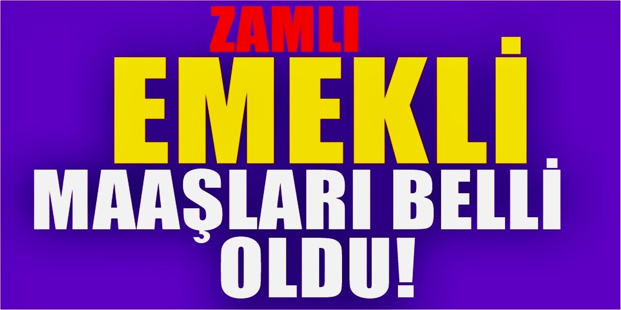 2022 yılı için emeklilere yapılacak zam oranını bakan Bilgin açıkladı