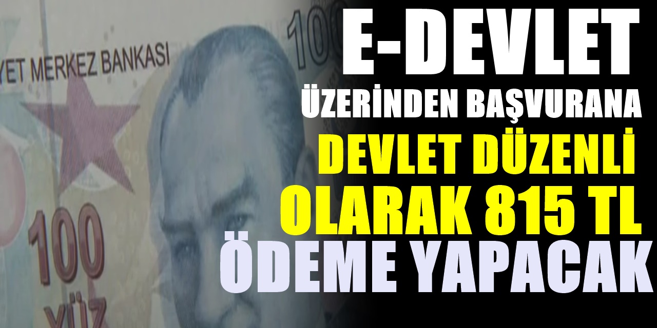 E Devlet Üzerinden Başvuranlara Devlet 815 TL ödeyecek üstelik emekli olmaya gerek yok