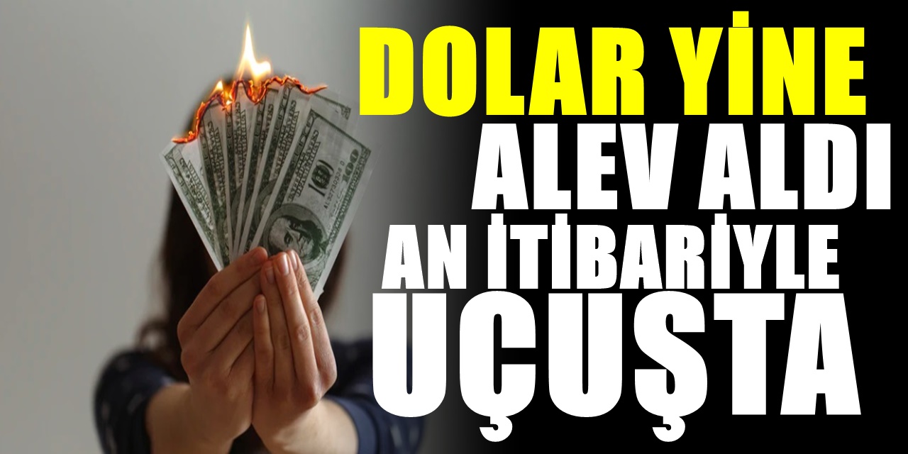 Erdoğan - Joe Biden görüşmesi sonlandı an itibariyle Dolar - TL tırmanışa geçti