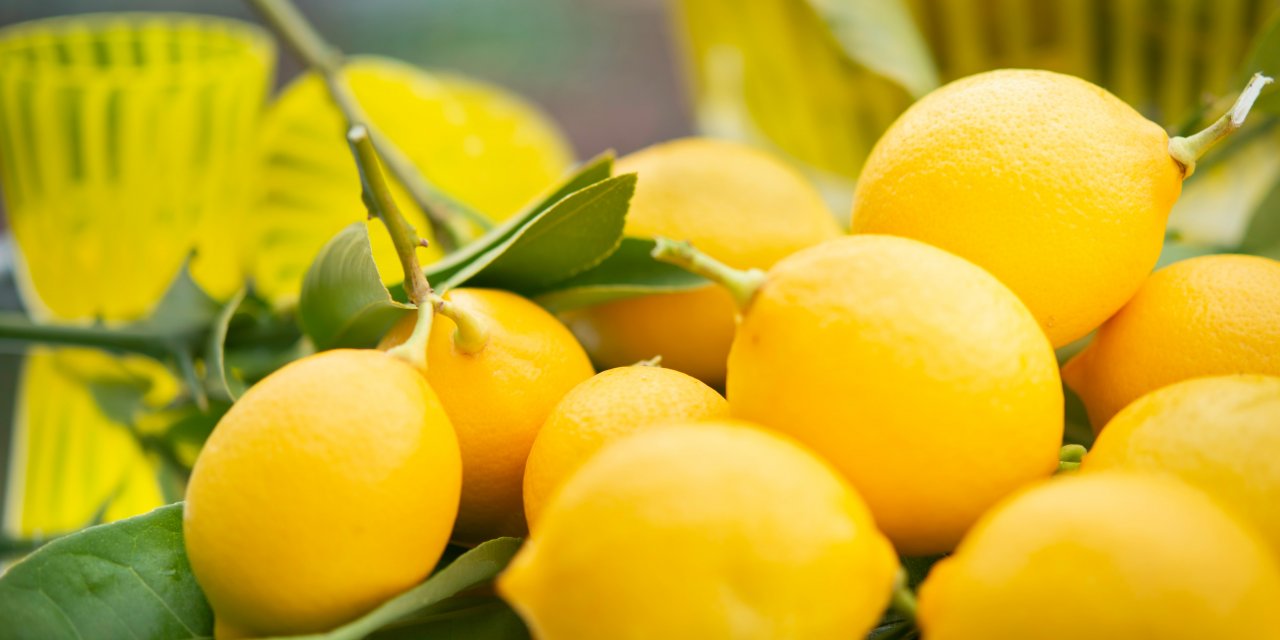 Limonun Hiç Bilinmeyen Sırrı! Cilt Güzelliğine Etkisi Kanıtlandı Tek Yapmanız Gereken..