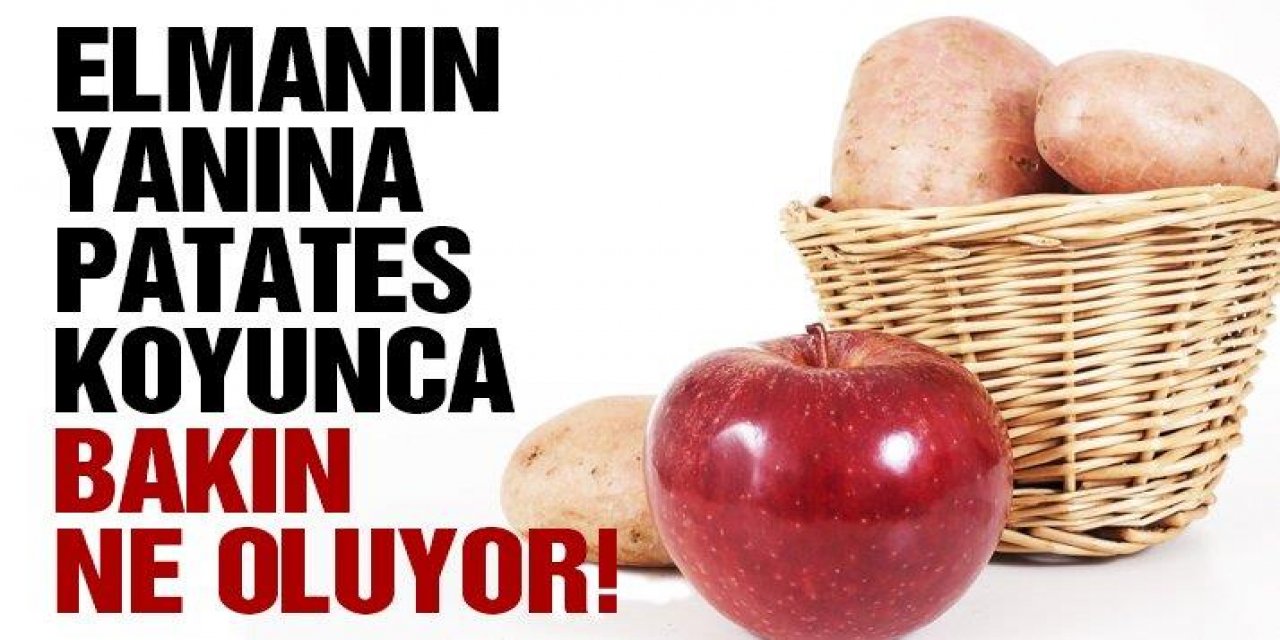 Kimsenin Aklına Gelmezdi Elmanın Yanına Patates Koymak O Sorunu Önlüyor!