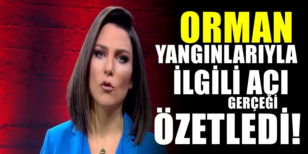 Peş Peşe Çıkan Orman Yangınlarıyla İlgili Ece Üner Kimsenin Soramadığı Bir Soruyu Sordu