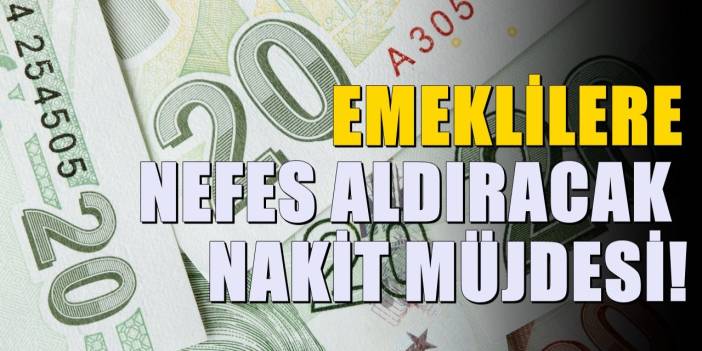 Emeklilere büyük müjde! 11000 TL nakit olarak hesaplarda olacak